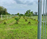 1 Đất vườn Củ Chi xã Trung Lập Hạ, sát thị trấn 833m2 giá ngộp 1ty800 SHR bao QH