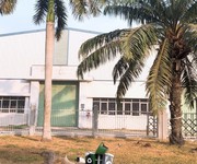 Chính chủ cần bán gấp 2 xưởng trong KCN Vĩnh Lộc, Bình Chánh.