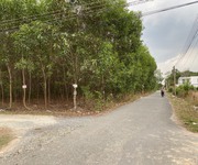 3 Bán lô đất mặt tiền đường Con Gà Vàng, xã Phú Đông, Nhơn Trạch, 956 m2, 250 ONT