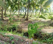 Bán lô đất mặt tiền sông lớn, có vườn dừa sẵn xã Phú Đông, Nhơn Trạch, 2000m2, 1.8 tỷ/1000m2