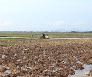 Bán đất trồng lúa Thủy Tây- Long An -một mặt tiền - đất đẹp