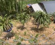 4 Đất Nền Mặt Đường Trục Chính Tả Phìn View Ruộng Bậc Thang, Săn Mây
