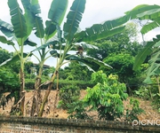 1 Chính chủ gửi bán lô đất khu trán voi - quóc oai - hn