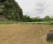 2 Lô 4817m2 trong đó đất ở 1400m còn lại là đất trồng cây lâu năm chưa đến triệu/m