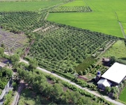 3 Cần bán 2,6ha đất trồng cây lâu năm tại xã Lê Minh Xuân -  H.Bình Chánh. Giá 3 triệu/m2