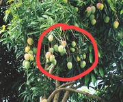 24 triệu/m2 sở hữu đất ở cạnh trường học, đi bộ tới ngay chợ