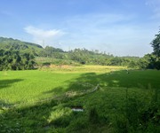 2 Chính chủ cần bán gấp lô đất giá cực rẻ tại Thị trấn Lương Sơn