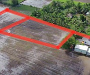 5 Bán 3700m2 đất trồng lúa  sổ đỏ riêng  tại xã Tân Nhựt - 2.2 triệu/m2