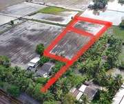 4 Bán 3700m2 đất trồng lúa  sổ đỏ riêng  tại xã Tân Nhựt - 2.2 triệu/m2
