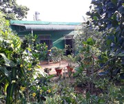 6 Bán nhà vườn 4030m2 sổ đỏ chính chủ, đường Lê Lai, Di Linh, chỉ 2 tỷ.
