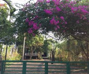 Bán đất thôn 4 - rừng dừa 7 mẫu - cẩm thanh - hội an