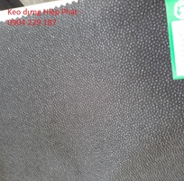 1 Mex mùng bố X50