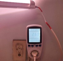 1 Đèn chuyên dụng cho xương rồng và sen đá