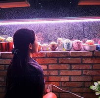 5 Đèn chuyên dụng cho xương rồng và sen đá