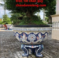 12 Nghệ nhân dán miễng sành sứ - ốp sành - chuyên chậu hoa - tphcm 0933181317 12 Nghệ nhân dán miễng sành sứ - ốp sành - chuyên chậu hoa - tphcm 0933181317