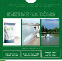 1 GIA CÔNG sản phẩm nguyên liệu Enzyme đơn dòng, đa dòng cho thuốc và thực phẩm  thủy sản, chăn nuôi