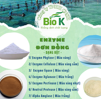 GIA CÔNG sản phẩm nguyên liệu Enzyme đơn dòng, đa dòng cho thuốc và thực phẩm  thủy sản, chăn nuôi