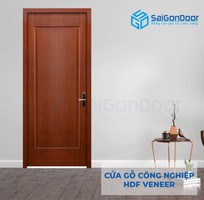 2 Cửa gổ hdf veneer hiện đại