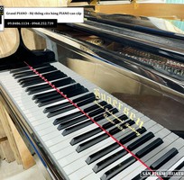 2 Đàn Grand Piano HUAERSEN GP142  85166XX