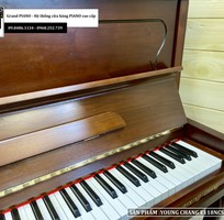 3 Đàn piano cơ Young Chang E118NCS