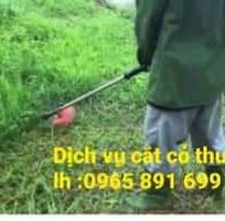 Dịch vụ cắt cỏ ,phát cỏ tại Quảng ninh Dịch vụ cắt cỏ ,phát cỏ tại Quảng ninh