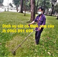 Dịch vụ phát hoang don cỏ ,sân vườn tại Quảng ninh Dịch vụ phát hoang don cỏ ,sân vườn tại Quảng ninh