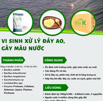 1 Vi sinh xử lý đáy ao, gây màu nước