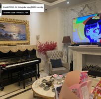 10 Đàn Piano cơ YAMAHA cao cấp