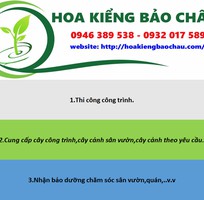 Cung cấp cây cảnh và bảo dưỡng cây tại nhà