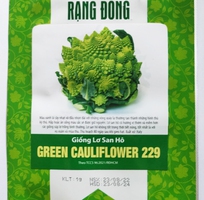 Hạt giống Bông cải súp lơ xanh hình san hô xoắn ốc Rạng Đông - Green Cauliflower 229  Romanesco