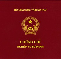 Học chứng chỉ nghiệp vụ sư phạm đại học cao đẳng tại đà nẵng