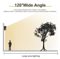 6 Đèn năng lượng mặt trời sân vườn