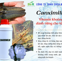 Vitamin khoáng dạng lỏng dùng cho tôm - Canximilk -