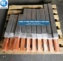 1 Điện cực chì bọ nhựa móc đồng