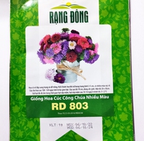 Hạt giống Hoa Cúc công chúa nhiều màu RD 803 Rạng Đông