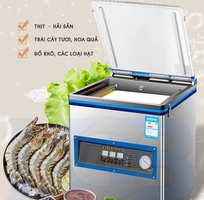 3 Máy hút chân không công nghiệp DZ400