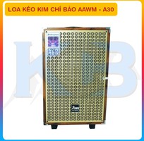 Loa kéo Kim Chí Bảo A30