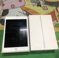 1 Ipad Mini 5 Wifi 64gb 99% full box