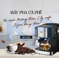 1 Máy pha cà phê R113 giá rẻ, chính hãng