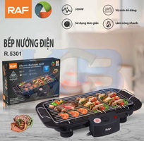 Bếp nướng điện không khói R5301