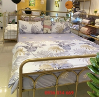 19 Những mẫu giường sắt đẹp giá bao nhiêu