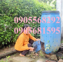 1 Bán thùng phuy nhựa ủ rác hữu cơ giá rẻ tại Đà Nẵng