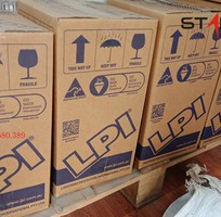 2 Đếm sét LPI RSL2