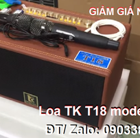 Loa Karaoke xách tay TK T18 New Model 2023 màu vàng da bò