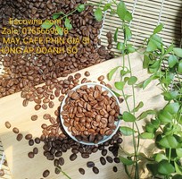 Cà phê pha máy Biên Hòa Đồng Nai, Sản phẩm loại 1 của Escovina Coffee chỉ với giá sỉ từ xưởng