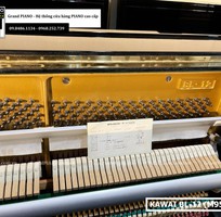 4 Đàn Piano cơ KAWAI BL 12 M952