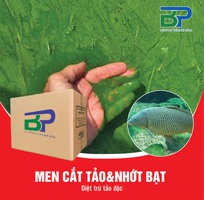 4 Chế phẩm men vi sinh cắt tảo độc Biopro Khánh Hòa cho ao tôm cá