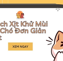 5 Cách Khử Mùi Cho Chó Đơn Giản Nhất