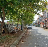 3033 Cần tìm việc làm giúp việc