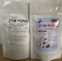 2 Zym pond chuyên xử lý NO2, mùn bã hữu cơ, làm sạch môi trường ao nuôi